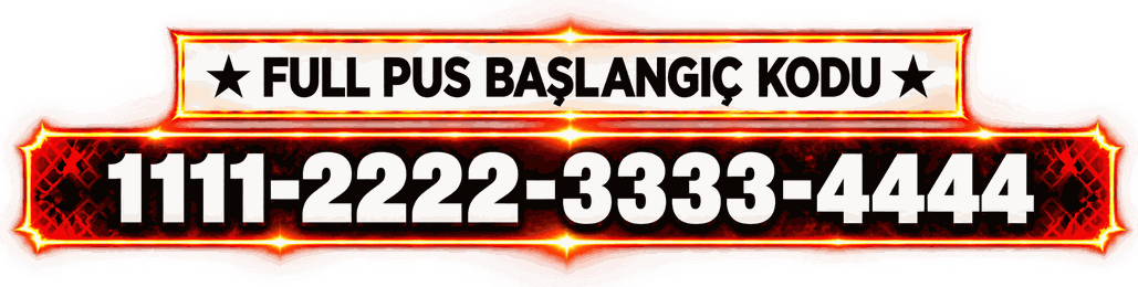 Full PUS başlangıç kodu: 1111-2222-3333-4444